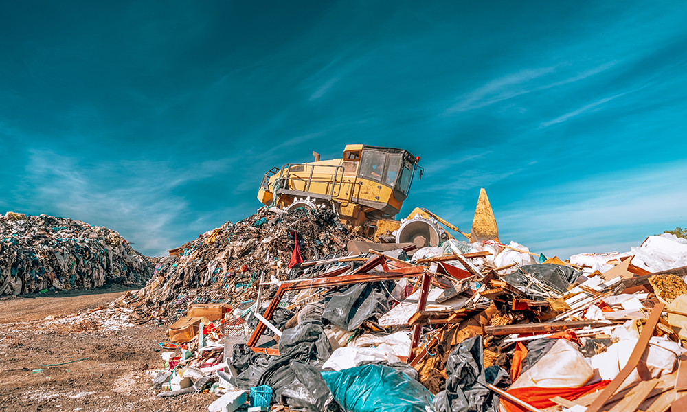 The Environmental Impact